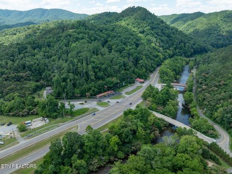 Tiny photo for 7018 E Lamar Alexander Pkwy, Townsend, TN 37882 (MLS # 1322765)