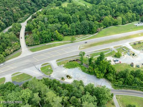 Tiny photo for 7018 E Lamar Alexander Pkwy, Townsend, TN 37882 (MLS # 1322765)