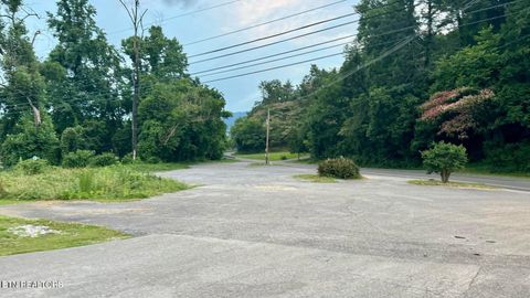 Photo of 7018 E Lamar Alexander Pkwy, Townsend, TN 37882 (MLS # 1322765)