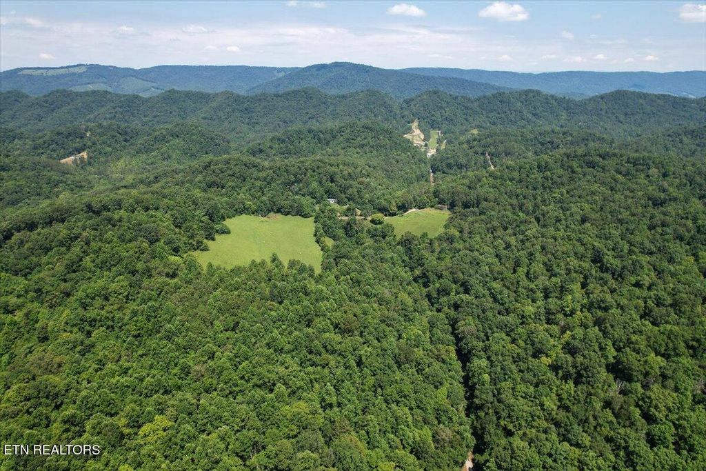 Photo of 42. ac Clinch River Rd, Tazewell, TN 37879 (MLS # 1307860)