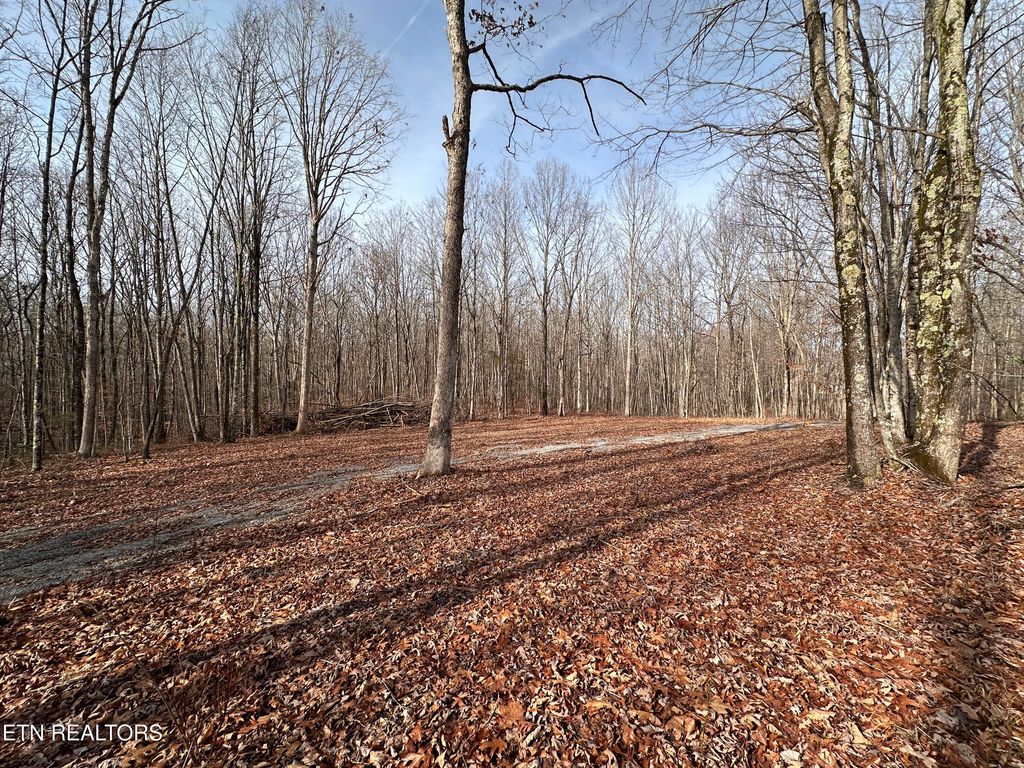 Photo of 212 Bear Hollow Rd, Jamestown, TN 38556 (MLS # 1327267)