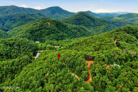 Photo of 71 Redtail Rd, Sevierville, TN 37862 (MLS # 1348035)