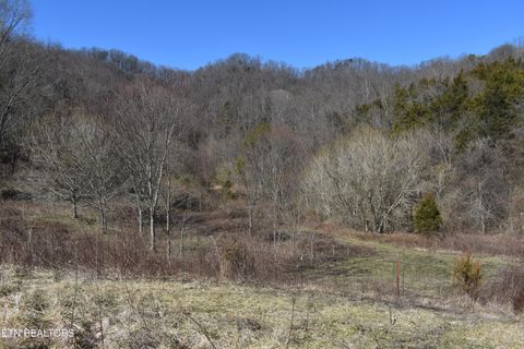 Tiny photo for 301 Smith Drive, Harrogate, TN 37752 (MLS # 1331220)
