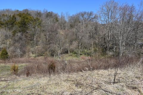 Tiny photo for 301 Smith Drive, Harrogate, TN 37752 (MLS # 1331220)