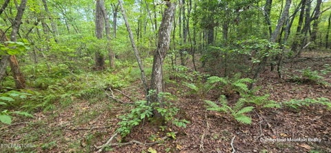 Tiny photo for Birch Place, Monterey, TN 38574 (MLS # 1355614)