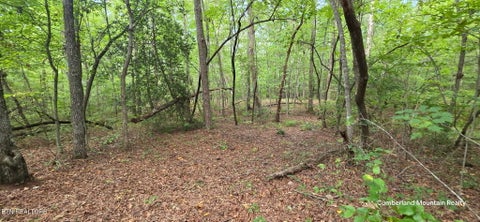 Tiny photo for Birch Place, Monterey, TN 38574 (MLS # 1355614)