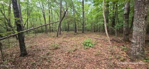 Tiny photo for Birch Place, Monterey, TN 38574 (MLS # 1355614)