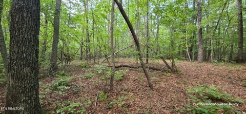 Tiny photo for Birch Place, Monterey, TN 38574 (MLS # 1355614)