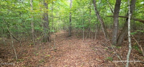 Tiny photo for Birch Place, Monterey, TN 38574 (MLS # 1355614)