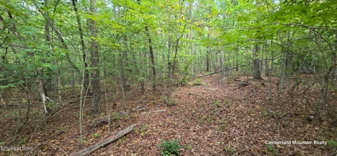 Tiny photo for Birch Place, Monterey, TN 38574 (MLS # 1355614)