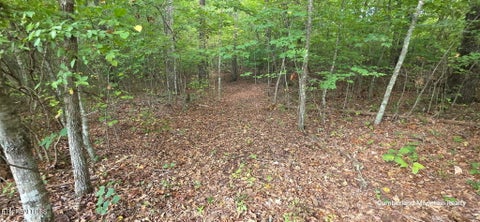 Tiny photo for Birch Place, Monterey, TN 38574 (MLS # 1355614)