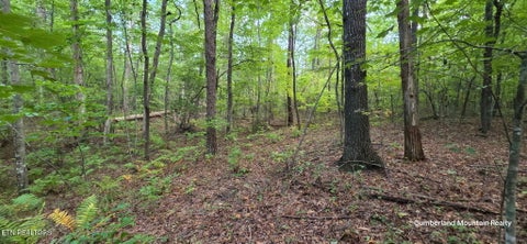 Tiny photo for Birch Place, Monterey, TN 38574 (MLS # 1355614)