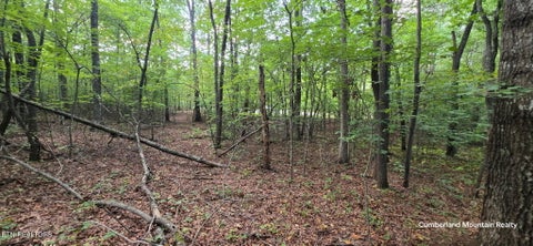 Tiny photo for Birch Place, Monterey, TN 38574 (MLS # 1355614)