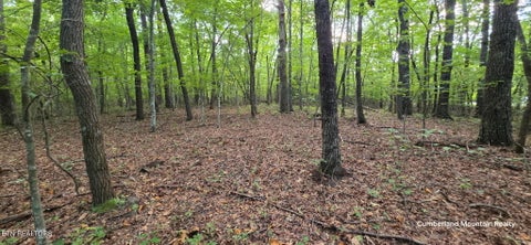 Tiny photo for Birch Place, Monterey, TN 38574 (MLS # 1355614)