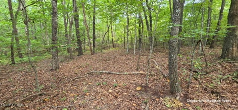 Tiny photo for Birch Place, Monterey, TN 38574 (MLS # 1355614)
