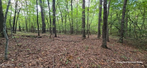 Photo of Birch Place, Monterey, TN 38574 (MLS # 1355614)