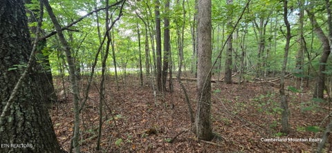 Tiny photo for Birch Place, Monterey, TN 38574 (MLS # 1355614)