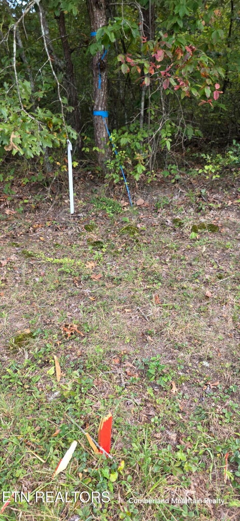 Tiny photo for Birch Place, Monterey, TN 38574 (MLS # 1355614)