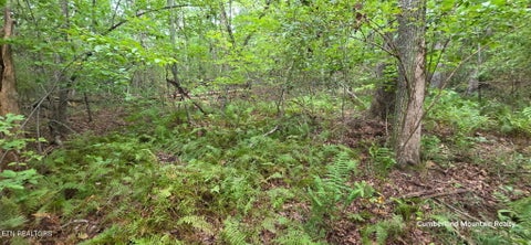 Tiny photo for Birch Place, Monterey, TN 38574 (MLS # 1355614)