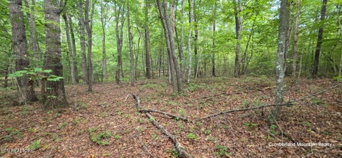 Tiny photo for Birch Place, Monterey, TN 38574 (MLS # 1355614)