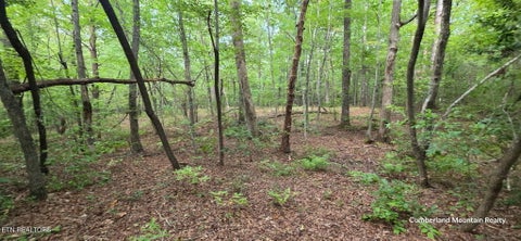 Tiny photo for Birch Place, Monterey, TN 38574 (MLS # 1355614)