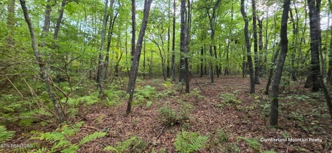 Tiny photo for Birch Place, Monterey, TN 38574 (MLS # 1355614)