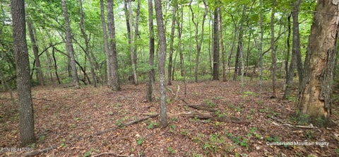 Tiny photo for Birch Place, Monterey, TN 38574 (MLS # 1355614)