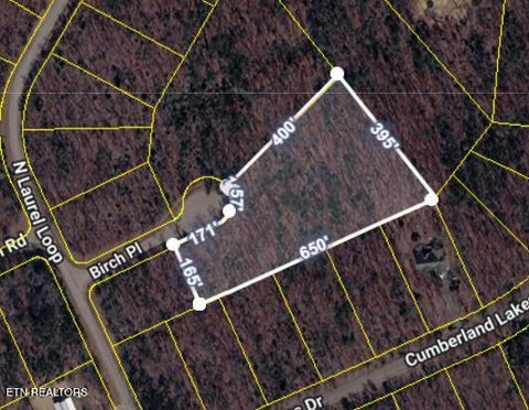 Tiny photo for Birch Place, Monterey, TN 38574 (MLS # 1355614)