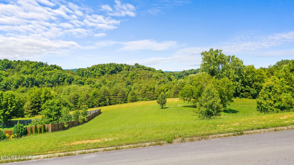 Photo of Atala Tr, Kodak, TN 37764 (MLS # 1344476)