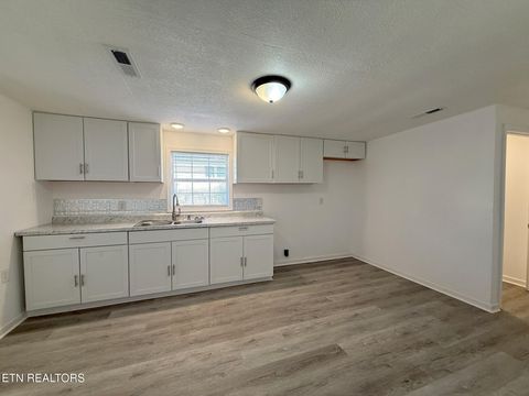 Tiny photo for 509 E Hemlock St, LaFollette, TN 37766 (MLS # 1326290)