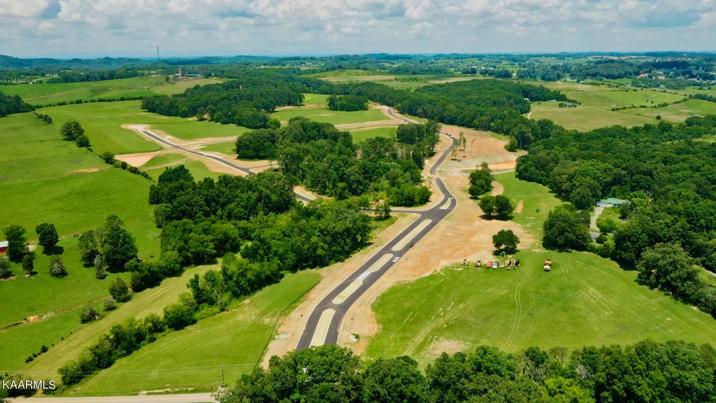 Photo of 74807 Sophie Drive, Greenback, TN 37742 (MLS # 1233721)