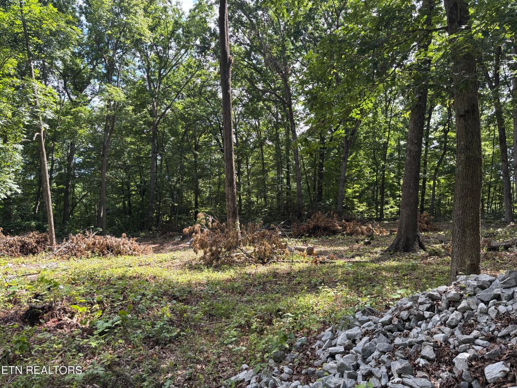 Photo of 282 Morgan Circle, Crossville, TN 38572 (MLS # 1344764)