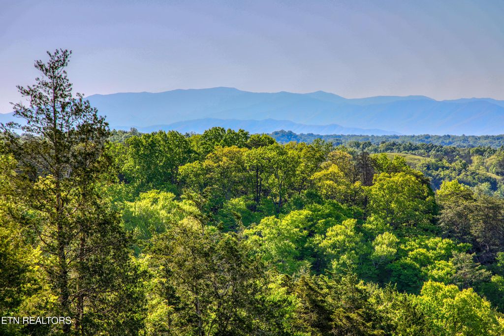 Photo of 1424 Millican Grove Rd, Sevierville, TN 37876 (MLS # 1338030)