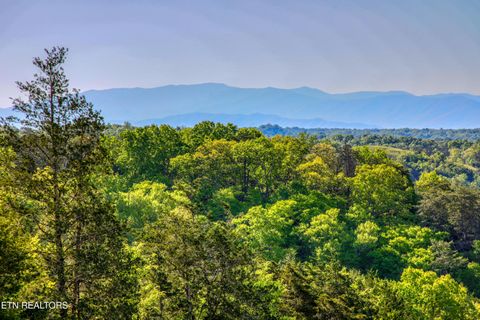 Photo of 1424 Millican Grove Rd, Sevierville, TN 37876 (MLS # 1338030)