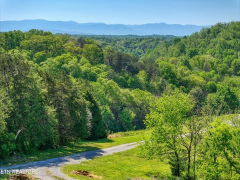 Tiny photo for 1424 Millican Grove Rd, Sevierville, TN 37876 (MLS # 1338030)