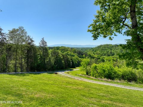 Tiny photo for 1424 Millican Grove Rd, Sevierville, TN 37876 (MLS # 1338030)