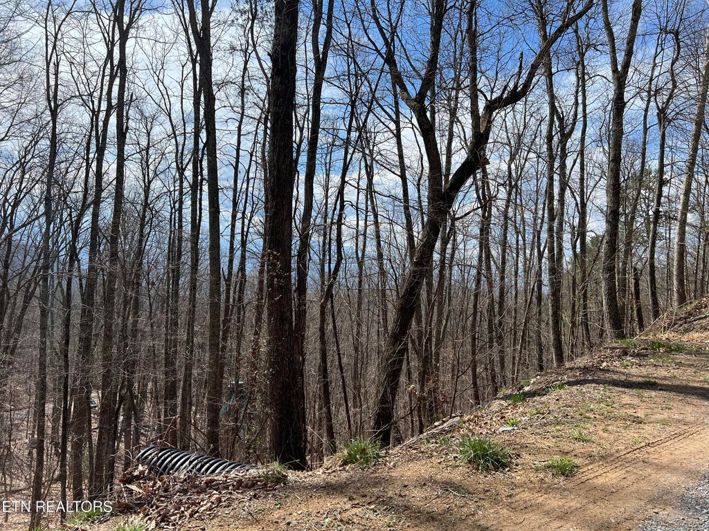 Photo of Clingmans View #Lot 18, Sevierville, TN 37876 (MLS # 1331974)