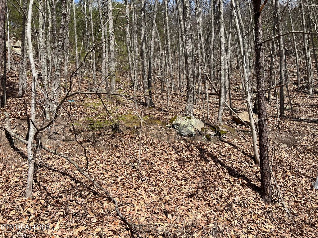 Photo of Clingmans View #Lot 18, Sevierville, TN 37876 (MLS # 1331974)