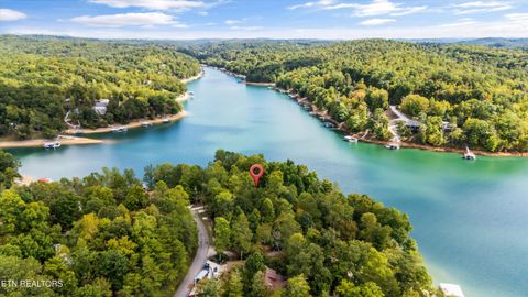 Tiny photo for 489 Fox Lake Lane, LaFollette, TN 37766 (MLS # 1319860)