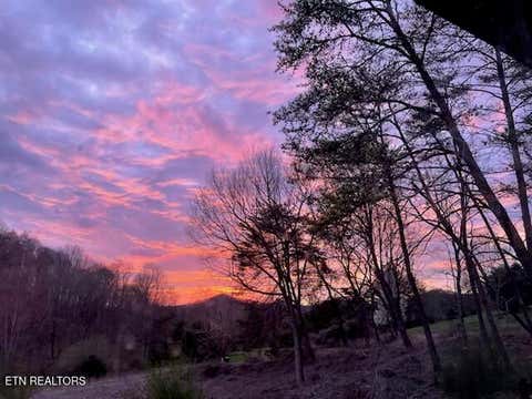 Tiny photo for 2410 Perilla Rd, Cosby, TN 37722 (MLS # 1346299)