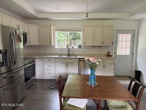 Tiny photo for 2410 Perilla Rd, Cosby, TN 37722 (MLS # 1346299)
