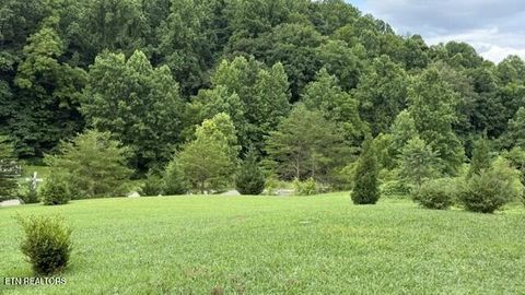 Tiny photo for 2410 Perilla Rd, Cosby, TN 37722 (MLS # 1346299)