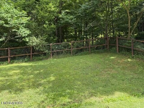 Tiny photo for 2410 Perilla Rd, Cosby, TN 37722 (MLS # 1346299)