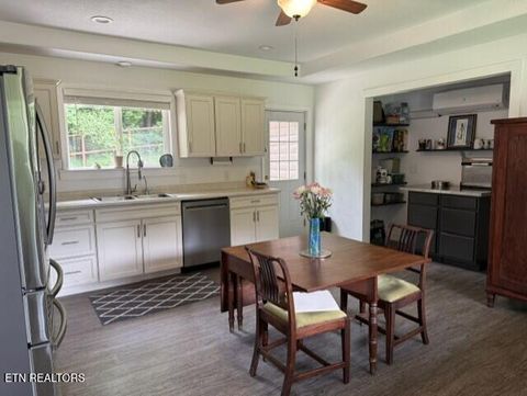 Tiny photo for 2410 Perilla Rd, Cosby, TN 37722 (MLS # 1346299)