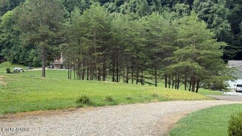 Tiny photo for 2410 Perilla Rd, Cosby, TN 37722 (MLS # 1346299)