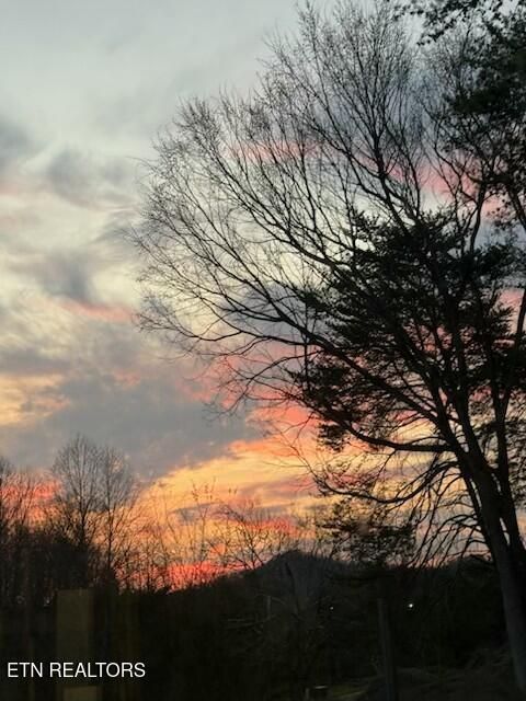 Tiny photo for 2410 Perilla Rd, Cosby, TN 37722 (MLS # 1346299)