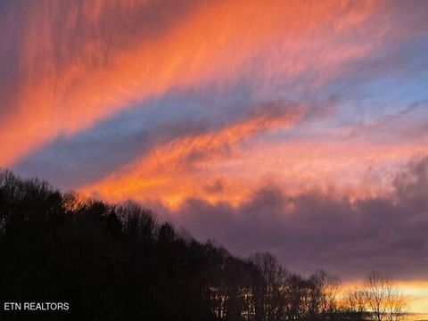 Tiny photo for 2410 Perilla Rd, Cosby, TN 37722 (MLS # 1346299)