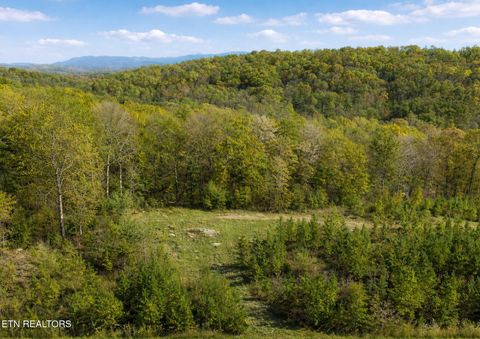 Tiny photo for Lot 6 Winding Tr, Madisonville, TN 37354 (MLS # 1337162)