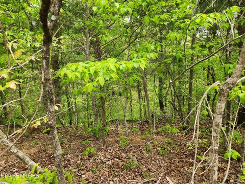 Tiny photo for Lot 6 Winding Tr, Madisonville, TN 37354 (MLS # 1337162)