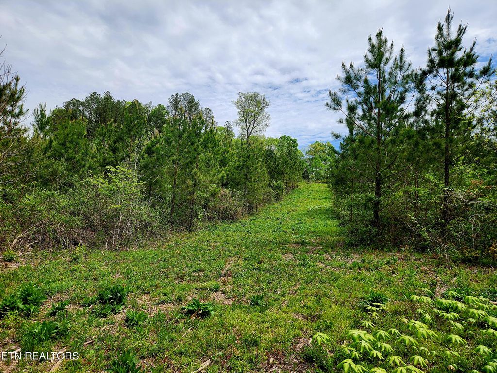 Photo of Lot 6 Winding Tr, Madisonville, TN 37354 (MLS # 1337162)